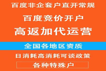 百度推广操作指南：案例解析